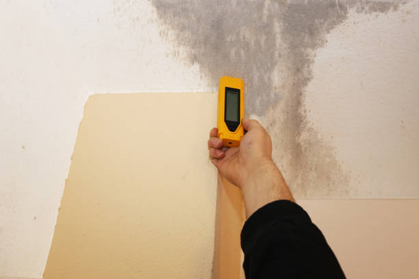 Best Residential Mold Inspection & Testing  in Graham, TX